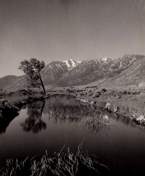 After the California Bound Travelers Crossed the Dreaded...