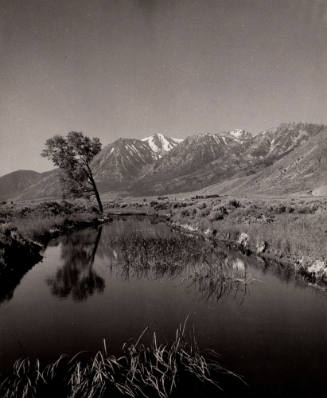 After the California Bound Travelers Crossed the Dreaded...