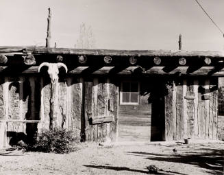 Untitled, New Mexico (Cow Skull)