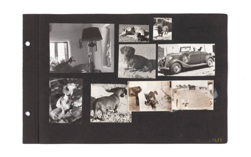 Photographic Scrapbook of Taos, II