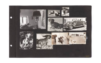 Photographic Scrapbook of Taos, II