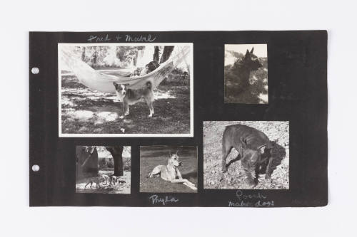 Photographic Scrapbook of Taos, I