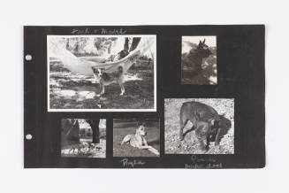 Photographic Scrapbook of Taos, I