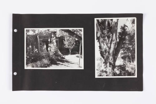 Photographic Scrapbook of Taos, I