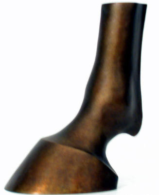Horse Hoof (Smooth)