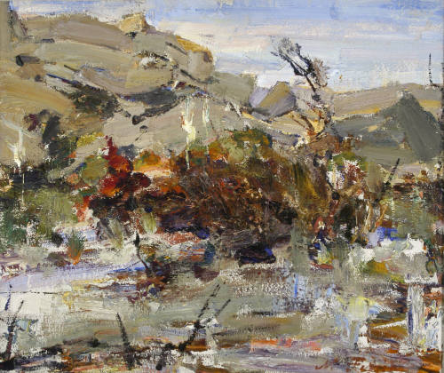 Desert Rocks