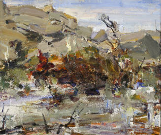 Desert Rocks