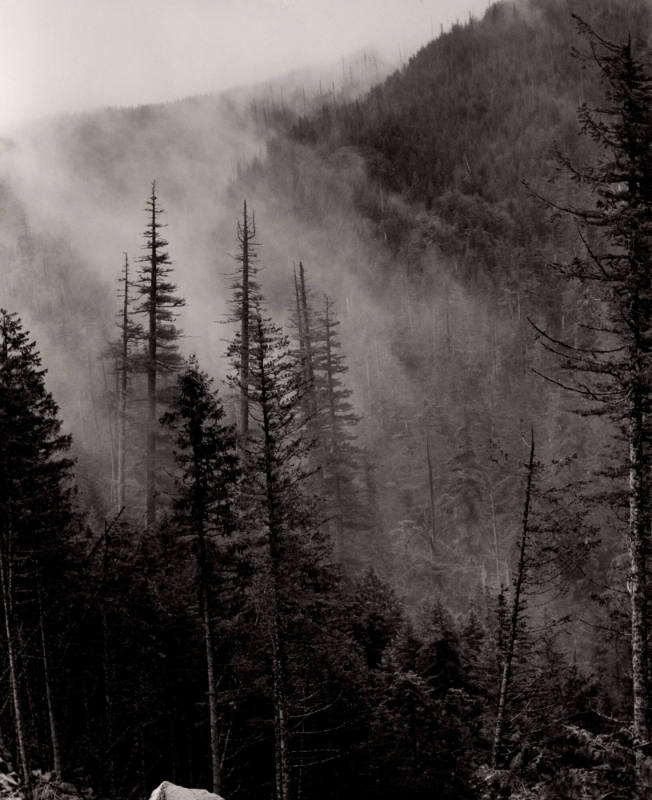 High in the Cascade Mountains Along the Barlow Trail in Oregon