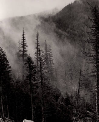 High in the Cascade Mountains Along the Barlow Trail in Oregon