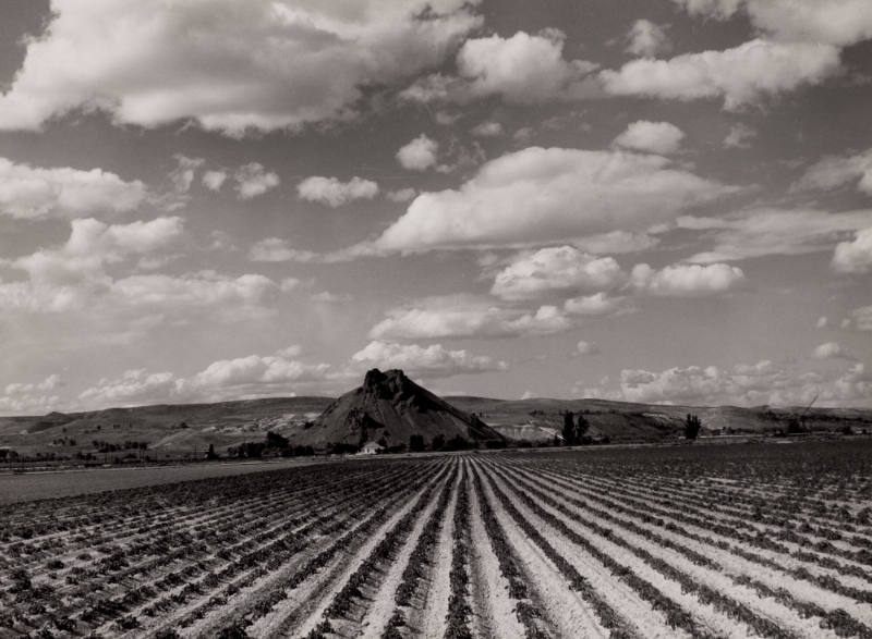Malhuer Butte Near Vale, Oregon