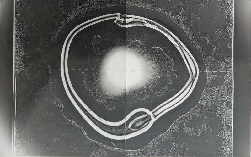 Photogram diptych of dripped glass #1