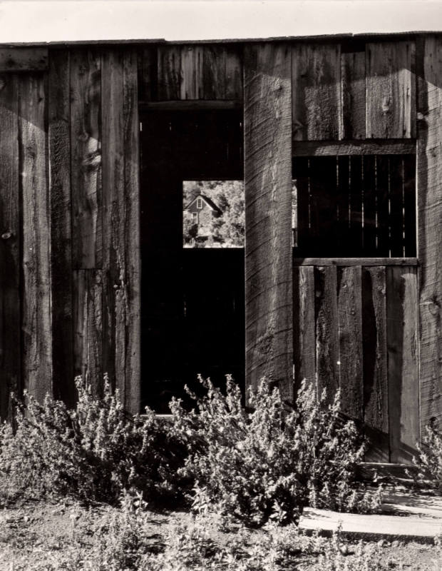 Old Shed with a Picture Window, Chloride, New Mexico