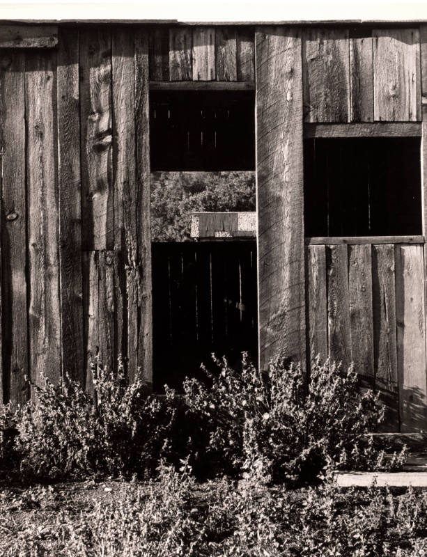 Old Barn, Chloride, New Mexico
