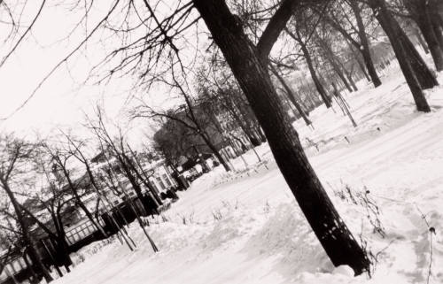 Boulevard in the Winter