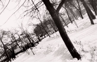 Boulevard in the Winter