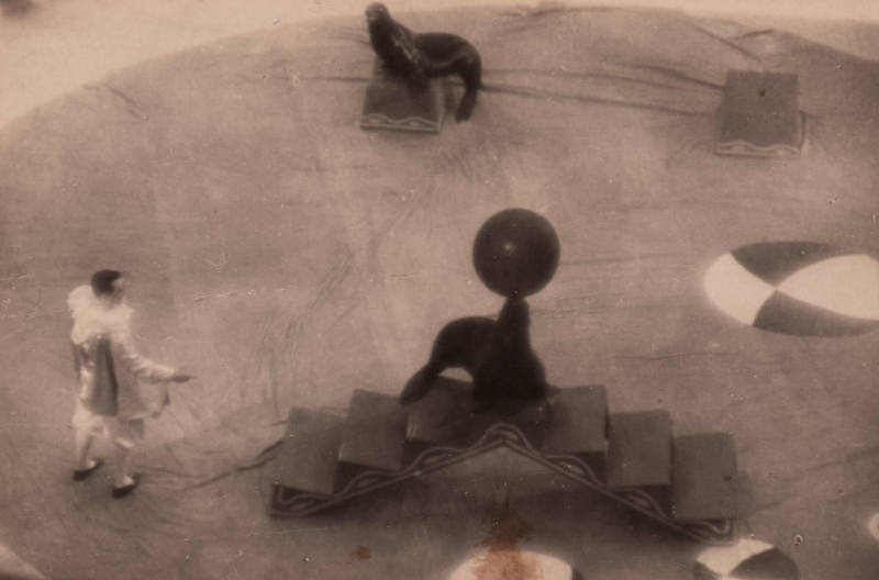 Circus Durov with Clown and Sea Lions