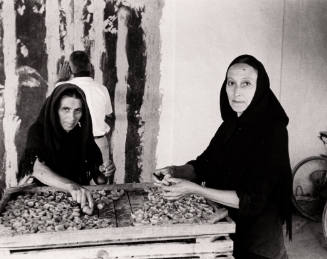 Women Processing Apricots on the Island of Ibiza, Balearic Islands
