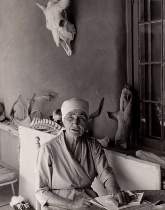 O'Keeffe at the Ghost Ranch, New Mexico