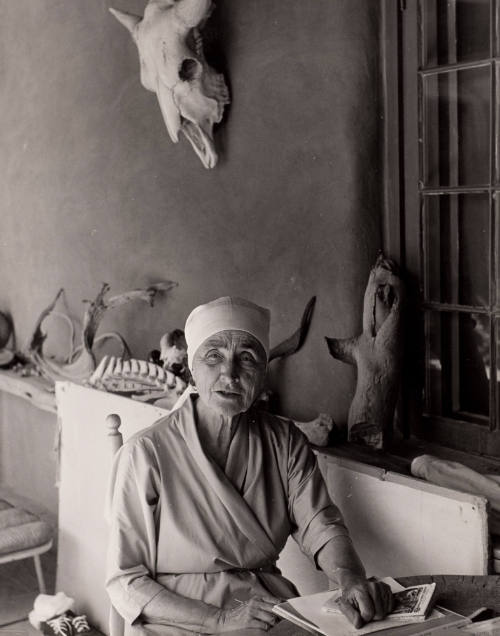 O'Keeffe at the Ghost Ranch, New Mexico