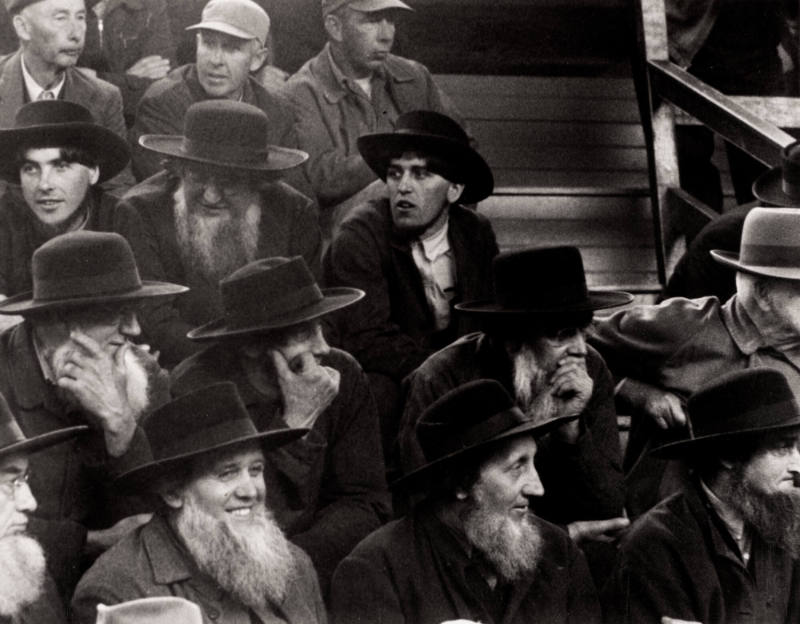 Amish Farmers at a Horse Auction, New Holland, Pennsylvania