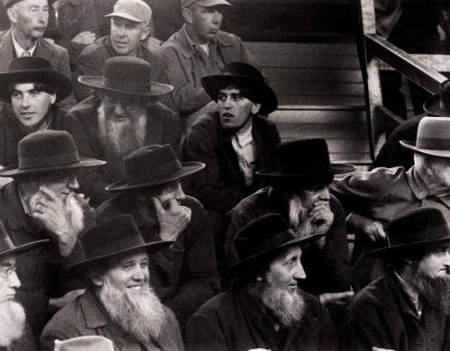 Amish Farmers at a Horse Auction, New Holland, Pennsylvania
