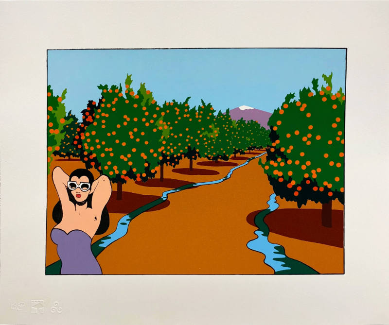 The Plain of Smokes Portfolio, (Orange Grove)