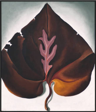 Georgia O'Keeffe, Dark and Lavender Leaves, 1931, oil on canvas, 19 3/4 × 16 9/16 in. Collectio…