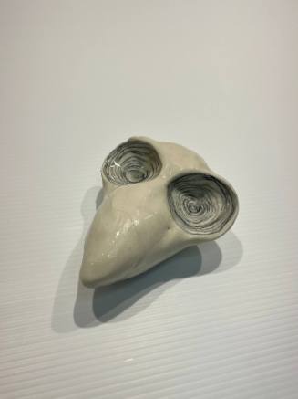 Bird Skull