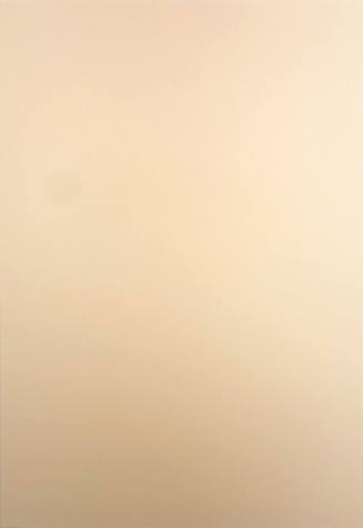 Detritus Portfolio blank page