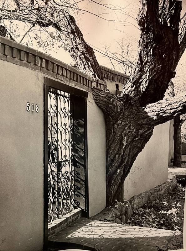 Untitled (Fence built around tree)