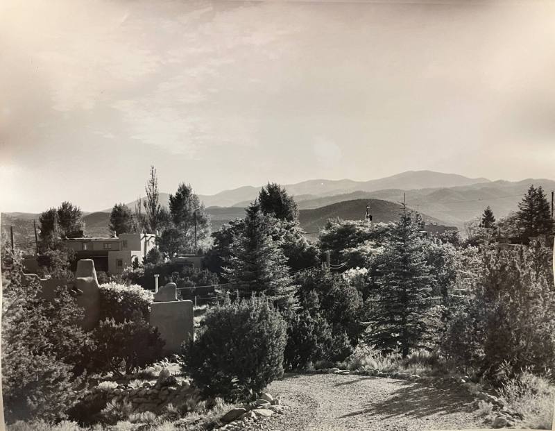 Untitled (Landscape with Trees)