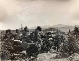 Untitled (Landscape with Trees)