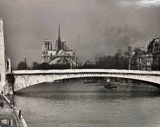 Lamps of Paris (Notre Dame with bridge in foreground)