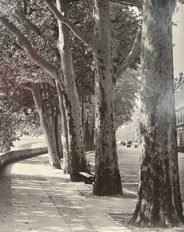 Quai du Louvre