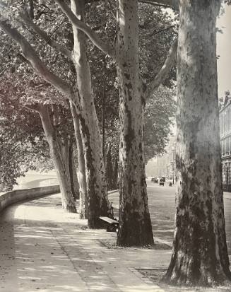 Quai du Louvre