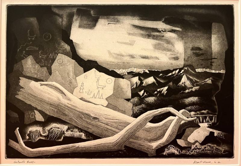 Petroglyphs and Driftwood