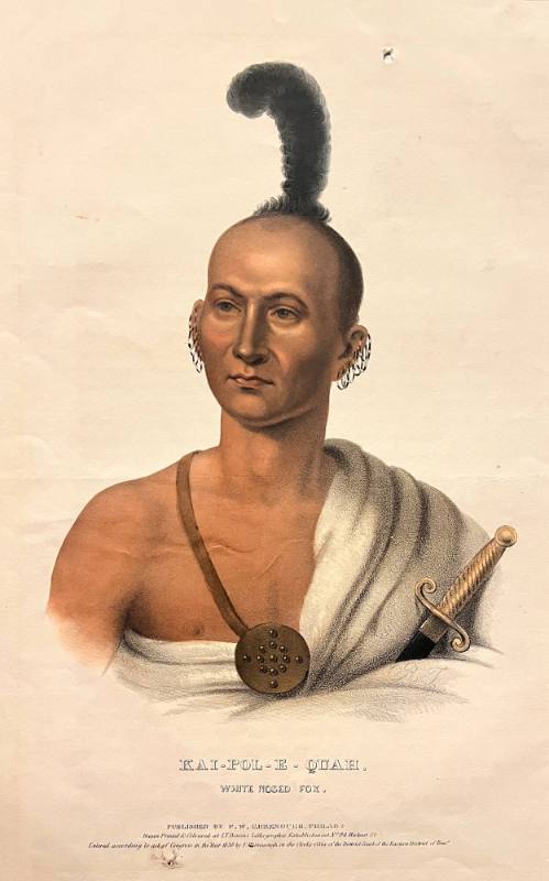 Kai-Pol-E-Quan: White Nose Fox