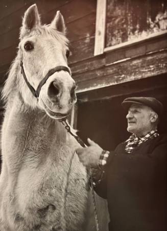 Farmer with Horse- Long Island, N.Y.