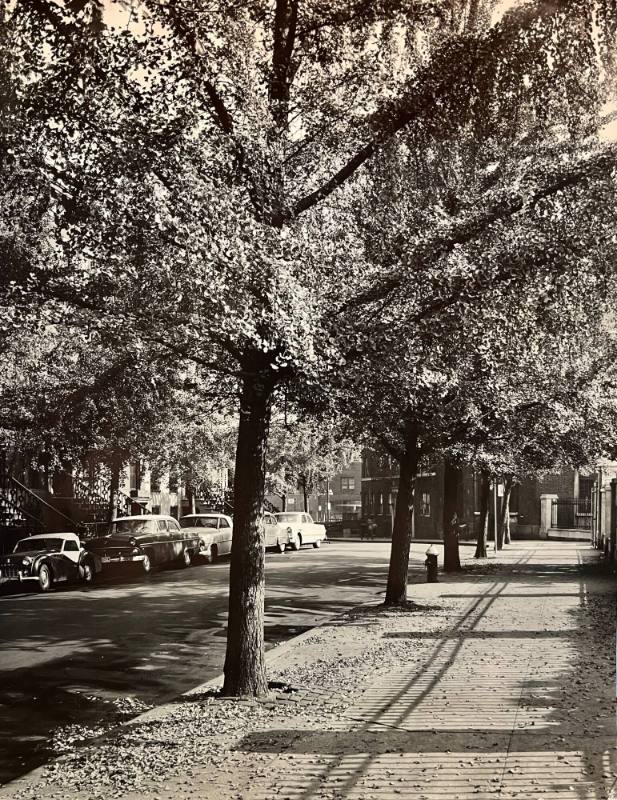 St. Lukes Place- NYC