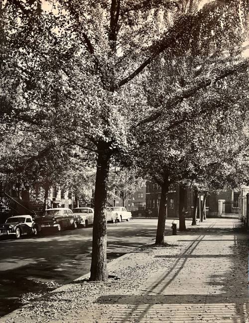 St. Lukes Place- NYC
