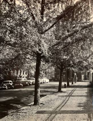 St. Lukes Place- NYC