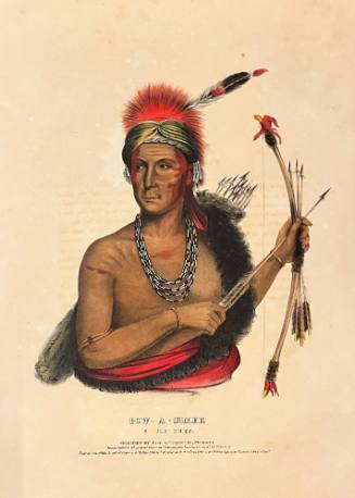 Pow-A-Shack Fox Chief