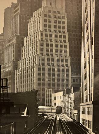From Fulton St. Station of the 3rd Avenue El