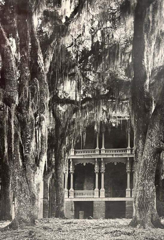 Antebellum Home- Watcher, Mississippi