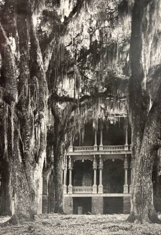 Antebellum Home- Watcher, Mississippi