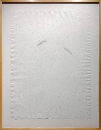 Ones in a Two Universe