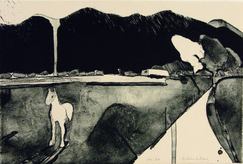 Mystery Horse in Taos