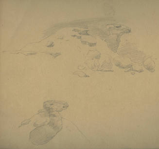 Untitled (Camel Rock)