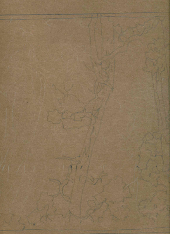 Cliff Dwelling (sketch)