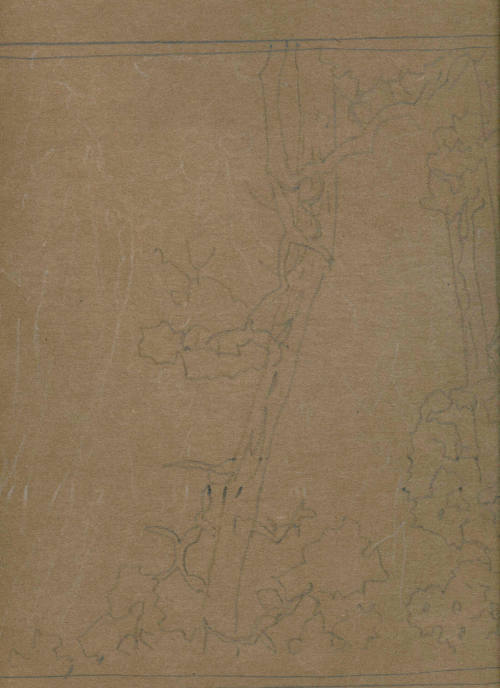 Cliff Dwelling (sketch)